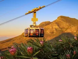 Table Mountain, Boulders Beach & Cape Point: Private Tour + Roundtrip Transfer